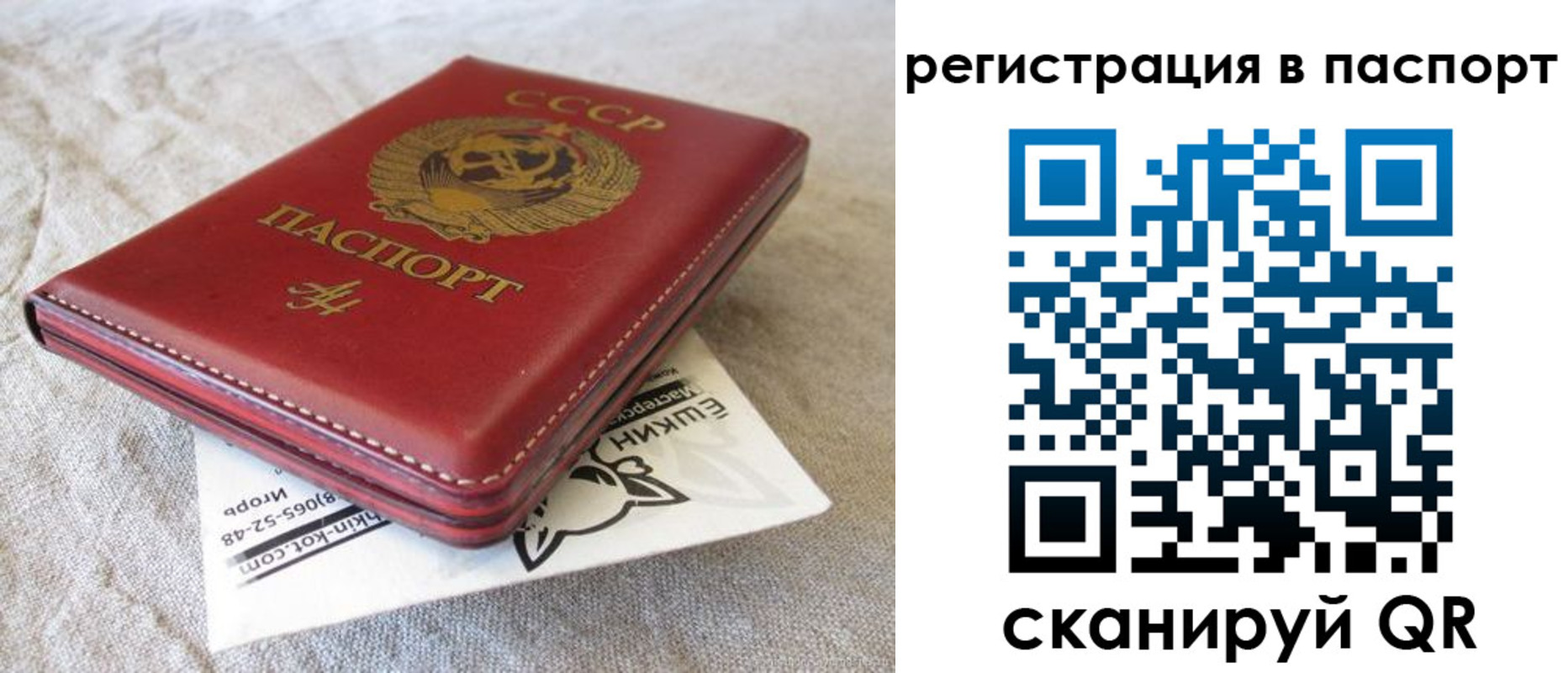 где прописаться в Сарове
